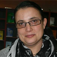 Anamaria Ionescu -- scriitor